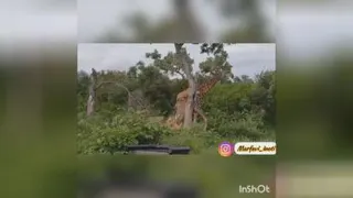 تا آخرین لحظه بجنگ