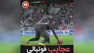 عجایب فوتبال