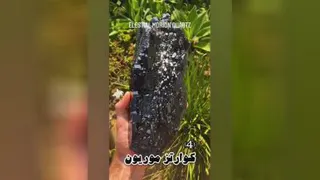 زیبای خلقت