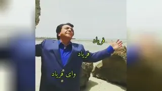 شاد باش