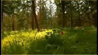 آرامش جسم وروح