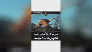تمیرینات شاگردان معبدشاُولین