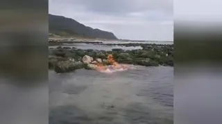 سوختن گاز متان
