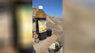 آجیل خشکبار تانسون