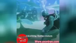 غواصان ماهر و شجاعت