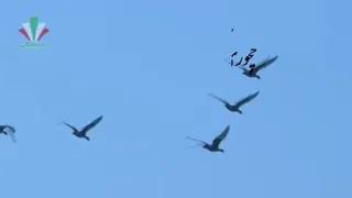 انگیزشی