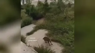 طنز😂