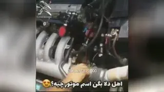 ELXبازان
