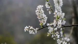 ازدواج