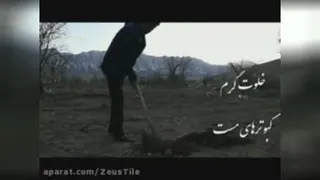 هفته درختکاری مبارک