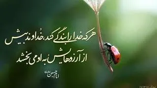 بندگی خدا