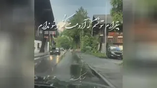 محسن