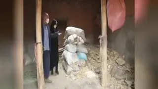 گندم