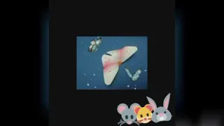 آراد قربانی