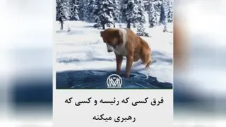 Rahabri