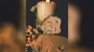 سیاسی