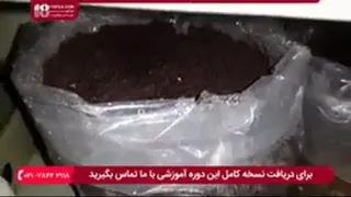آموزش تولید قارچ
