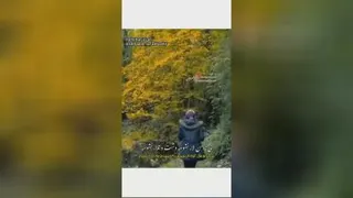 آهنگ زیبای مازندرانی