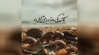 چاوشی خوانی🙃