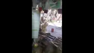 این کرونایی رو بگیر دررفت