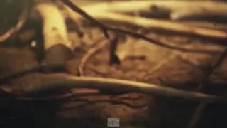 مادر