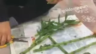 قلمه زدن بامبو