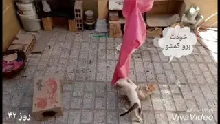 داستان پیشولی ها_قسمت چهارم(این ماله منه😤)