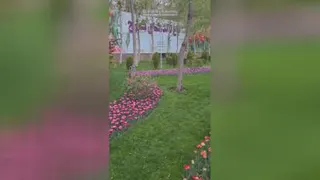 دهمین جشنواره لاله های کرج