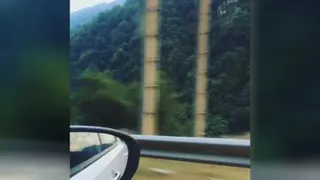 طبیعت