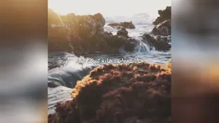 انگیزشی