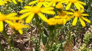 تفاوت مجردی و متاهلی