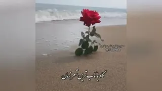 انگیزشی 👌🏼💐🌹
