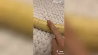 تا حالا موز زنده دیده بودین اینجا داریم