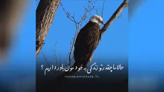 مثل عقاب باش و نترس