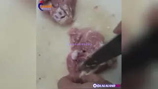 قسمتی از مرغ که اصلا نباید بخورید