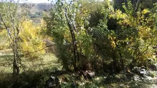 طبیعت زیبا