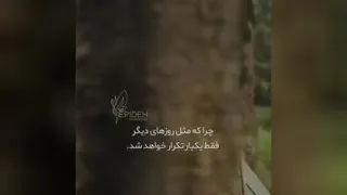 زمان رو از دست نده