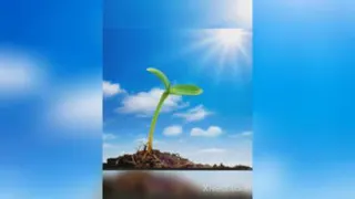 فعالیت و ایجاد اعتماد به نفس در کودکان و تدریس