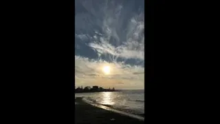 ساحل