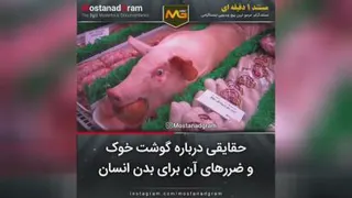 چرا اسلام گوشت خوک را حرام کرده