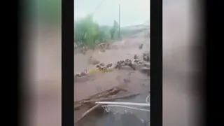 سیل ویرانگر