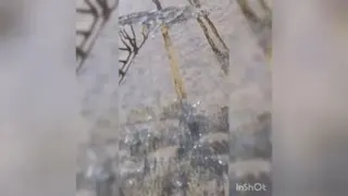 نمونه کاغذ دیواری فروشگاه آرکا دکور