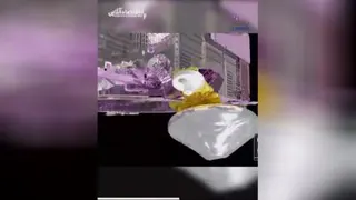 حضورافتخارآمیز یک ایرانی در ابرپروژه ناسا جیمزوب