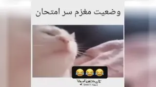 ای خدا من که اینطوریم😂