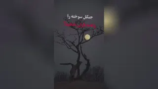 انسان مثل گل هست