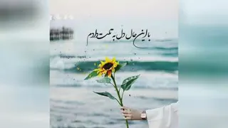 کلیپ دلنشین