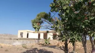 زمین کشاورزی