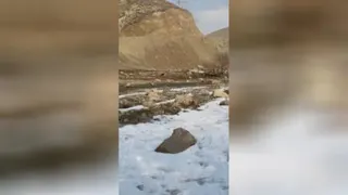 موسیقی