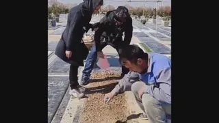 خنده دار