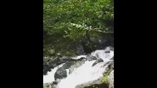 طبیعت زیبا